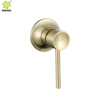 The new Single handle gold 304SS brushed  wall mounted Concealed shower body