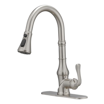 BWE Brushed Nickel Pull Down Kitchen Faucet With Pull Out Stainless Steel Nozzle